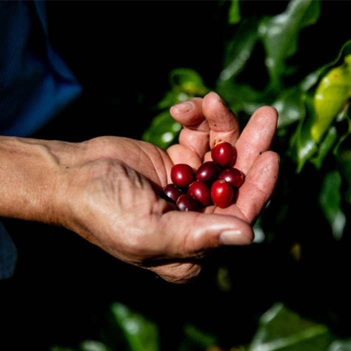 コーヒーにまつわる”透明性”について考える
