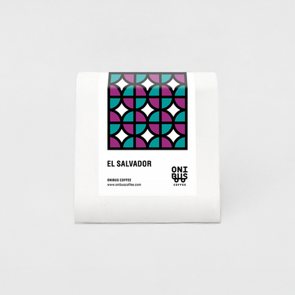 エルサルバドル / フィト・モンティエル